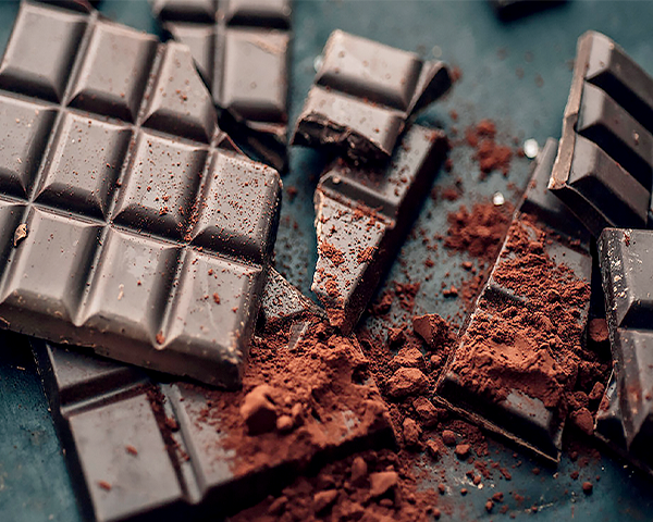 cocoa processing plants using waste for steam, heat and power